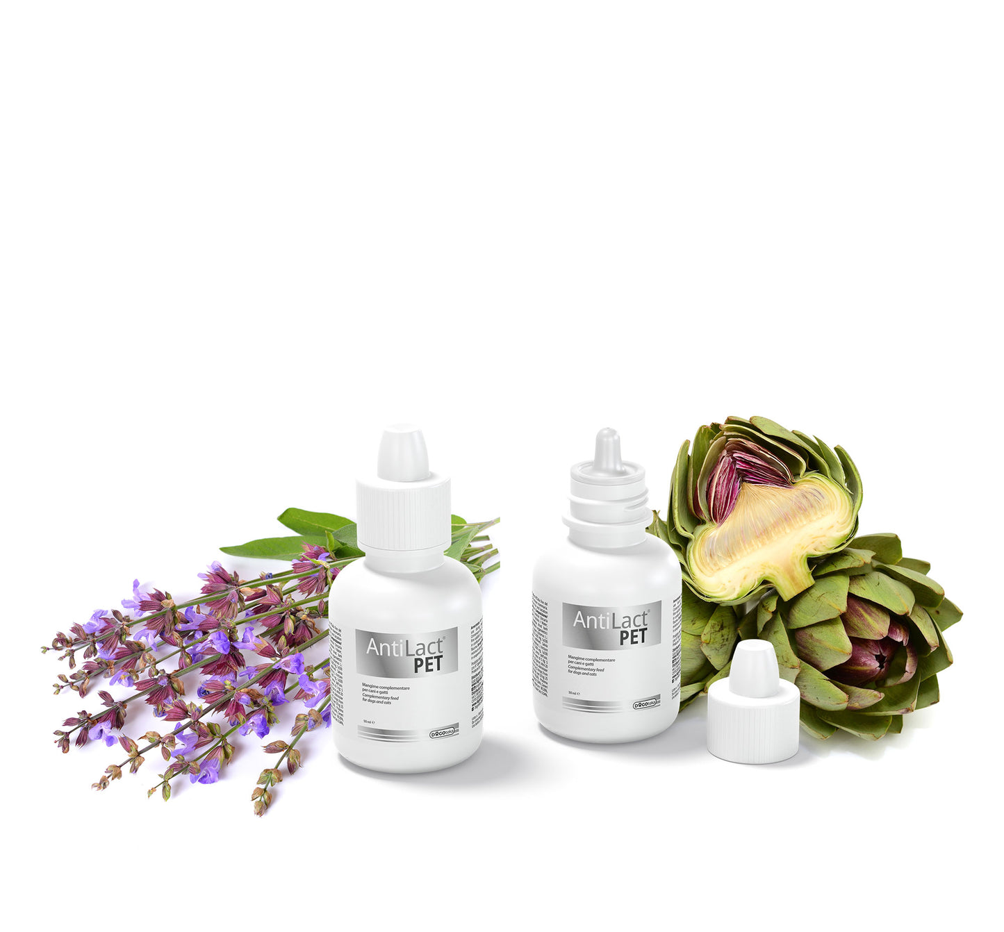 AntiLact Pet