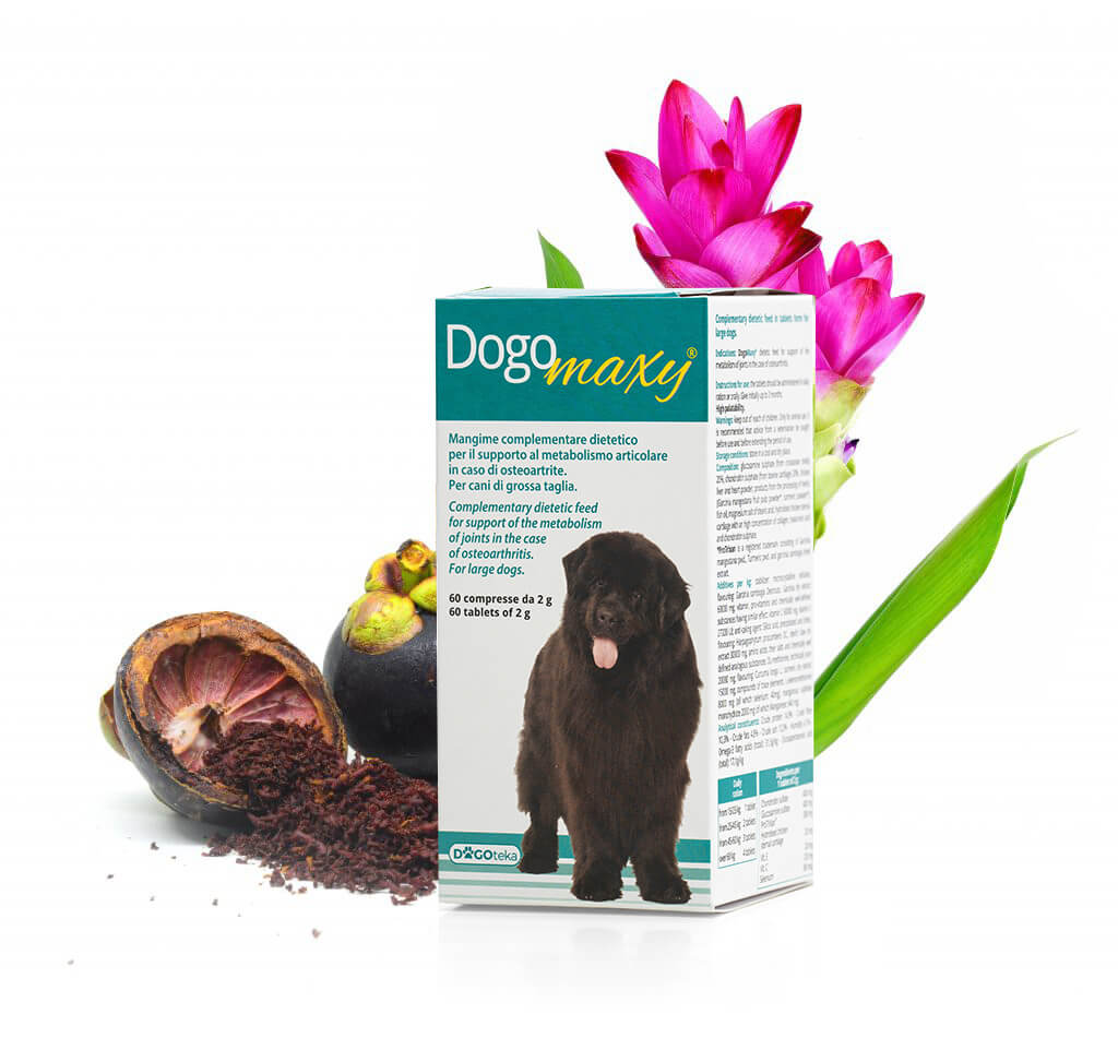 DOGOmaxy®