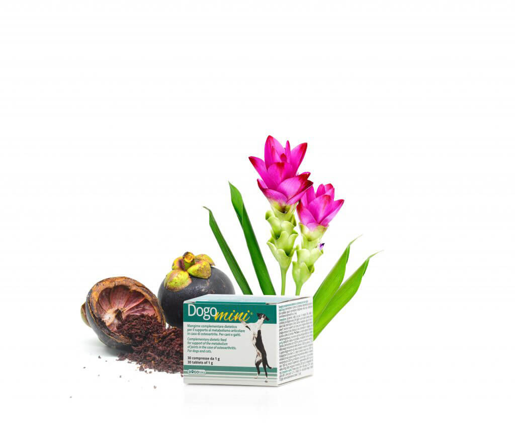 DOGOmini®