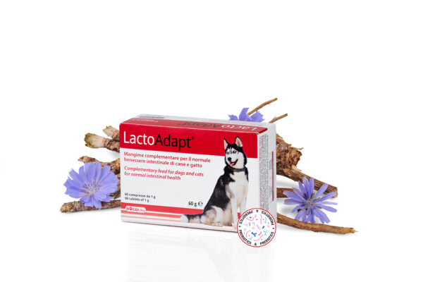 LactoAdapt