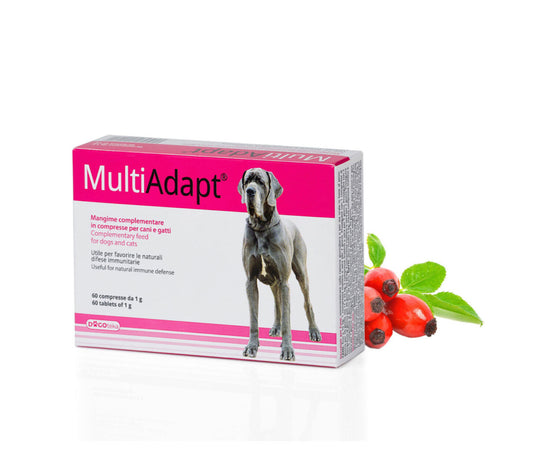 MultiAdapt®