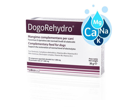 DogoRehydro®