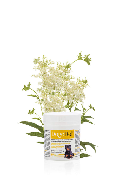 DOGOdol®