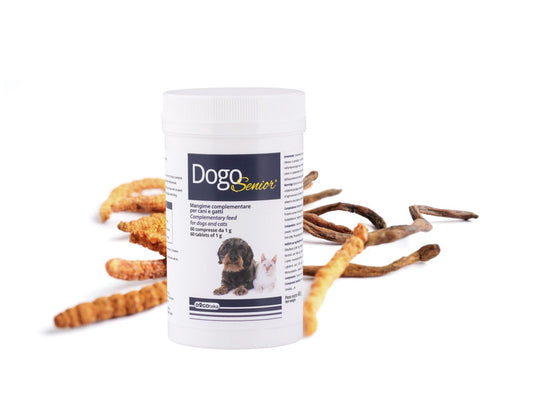 DogoSenior®